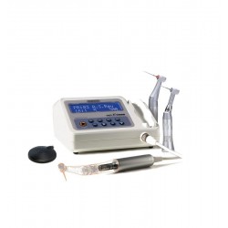 SAEYANG- MOTOR ENDO-E-CLASS: UD.CONTROL+MOTOR SDE-EM24E+PEDALSPF-10+CA